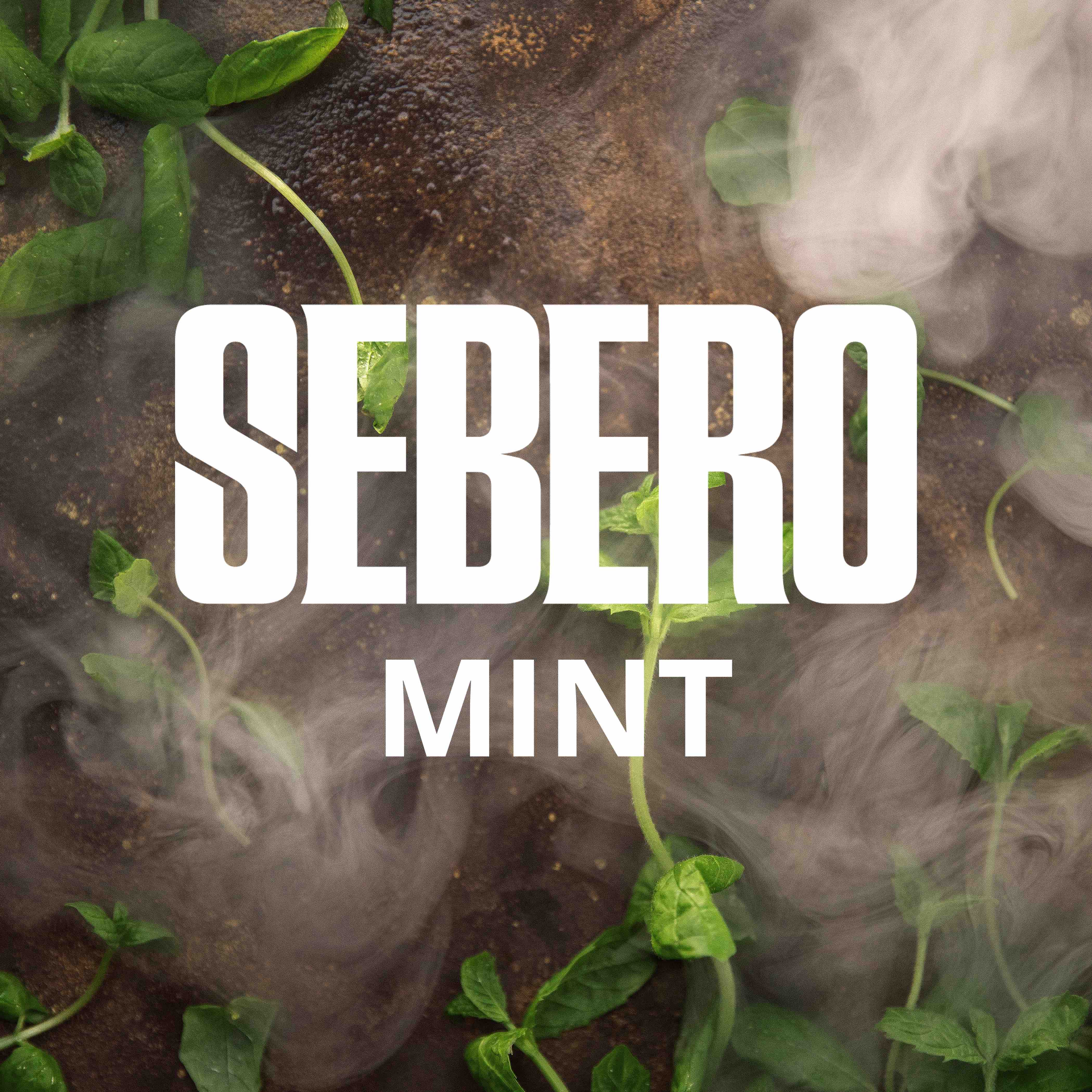 картинка Табак Sebero - Mint 100 гр. от магазина BigSmoke