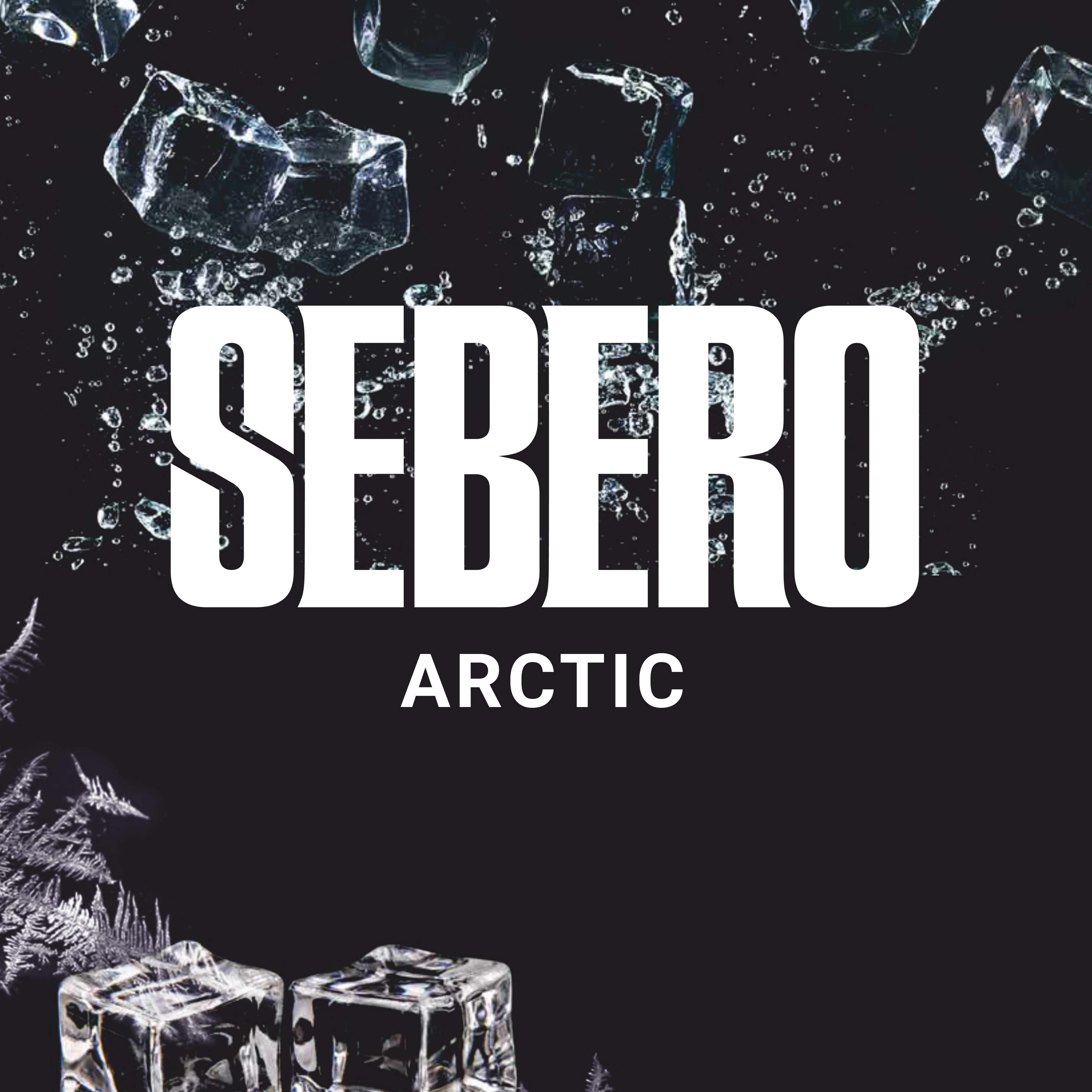картинка Табак Sebero - Arctic 100 гр. от магазина BigSmoke