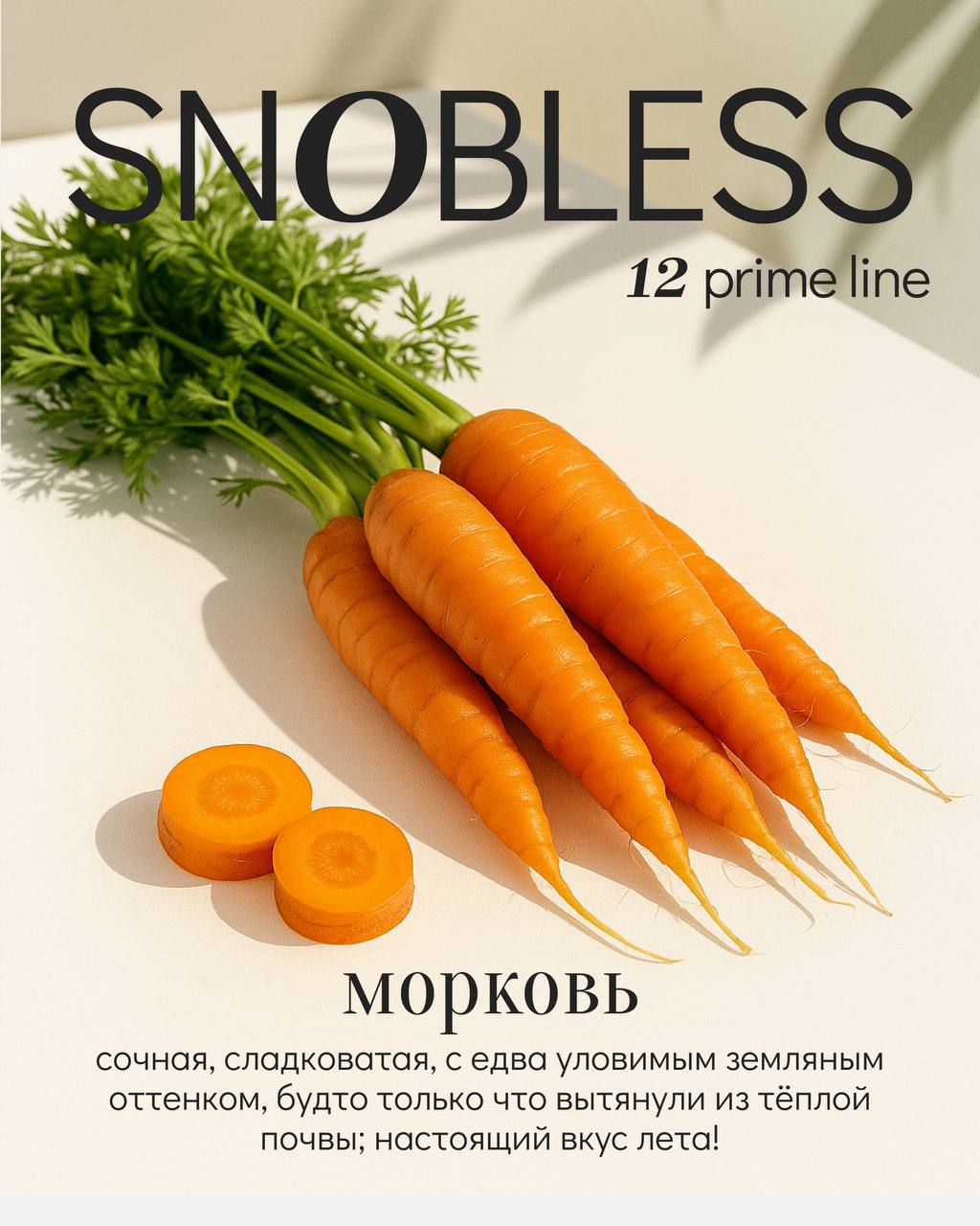 картинка Табак Snobless - Морковь (Carrot) 100 гр. от магазина BigSmoke