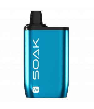 картинка SOAK W 10000 - Mint Gum (Мятная Жвачка) от магазина BigSmoke