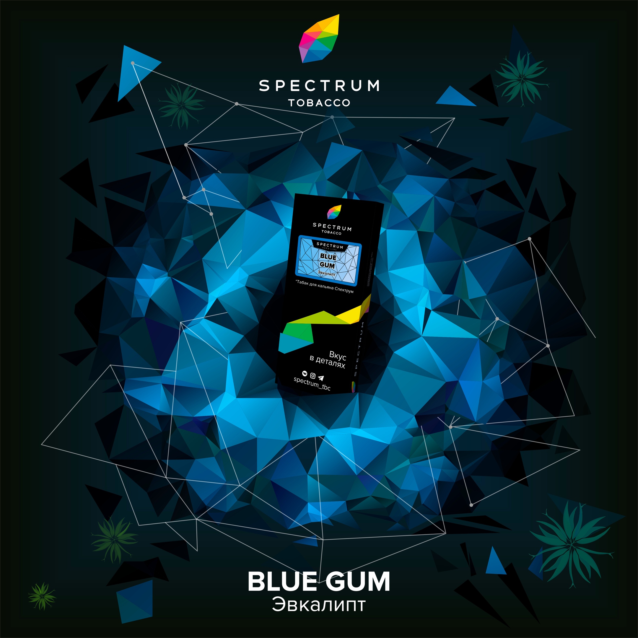картинка Табак Spectrum Hard – Blue Gum 100 гр. от магазина BigSmoke
