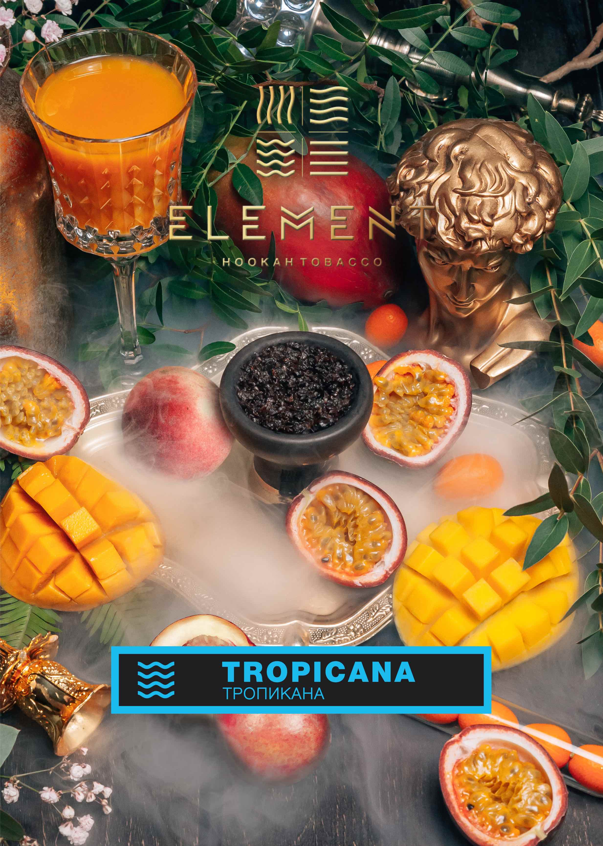 картинка Табак Element Вода - Tropicana (Тропикана) 200 гр. от магазина BigSmoke