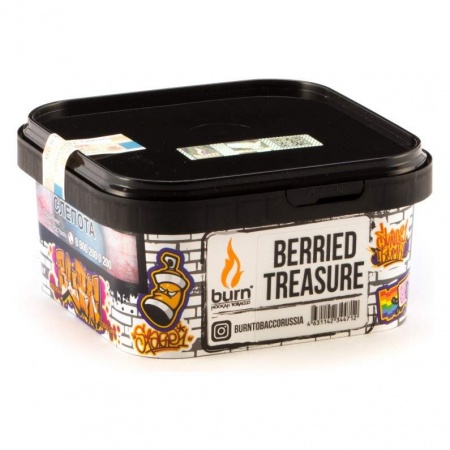 картинка Табак Burn – Berried treasure 200 гр. от магазина BigSmoke