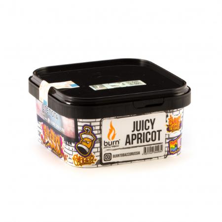картинка Табак Burn – Juicy apricot 200 гр. от магазина BigSmoke