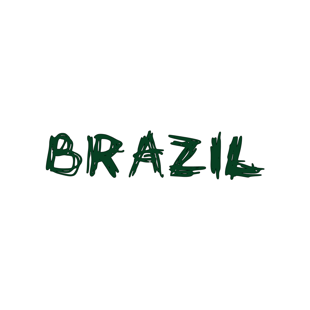 WTO Brazil 20 гр.