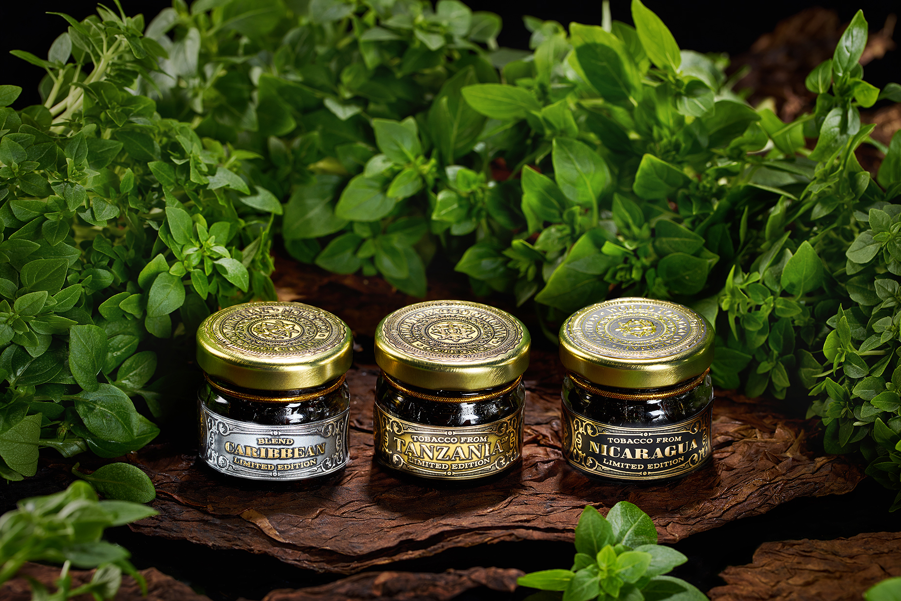 картинка Табак WTO Caribbean Blend – Базилик 20 гр. от магазина BigSmoke