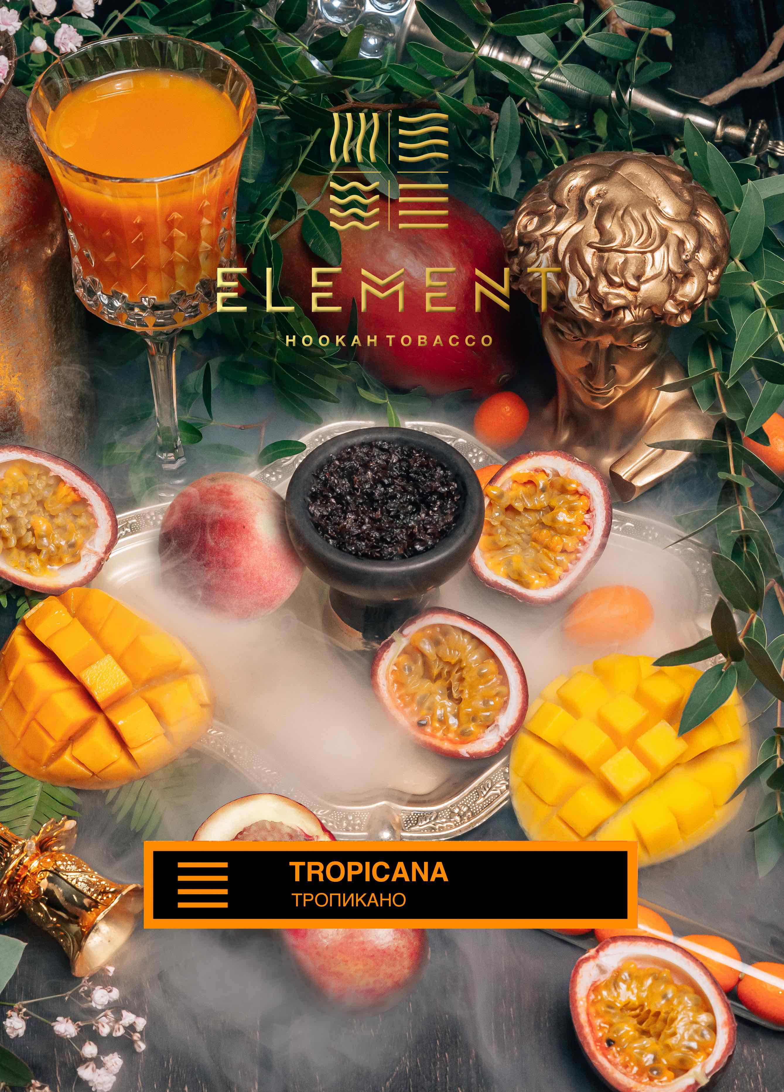 картинка Табак Element Земля - Tropicana (Тропикана) 200 гр. от магазина BigSmoke