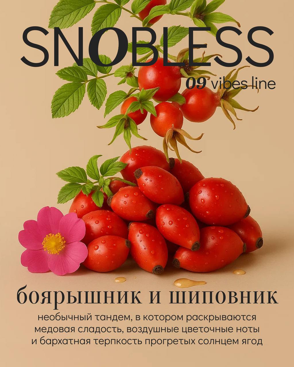 картинка Табак Snobless - Боярышник и шиповник (Howthorn Rosehip) 100 гр. от магазина BigSmoke