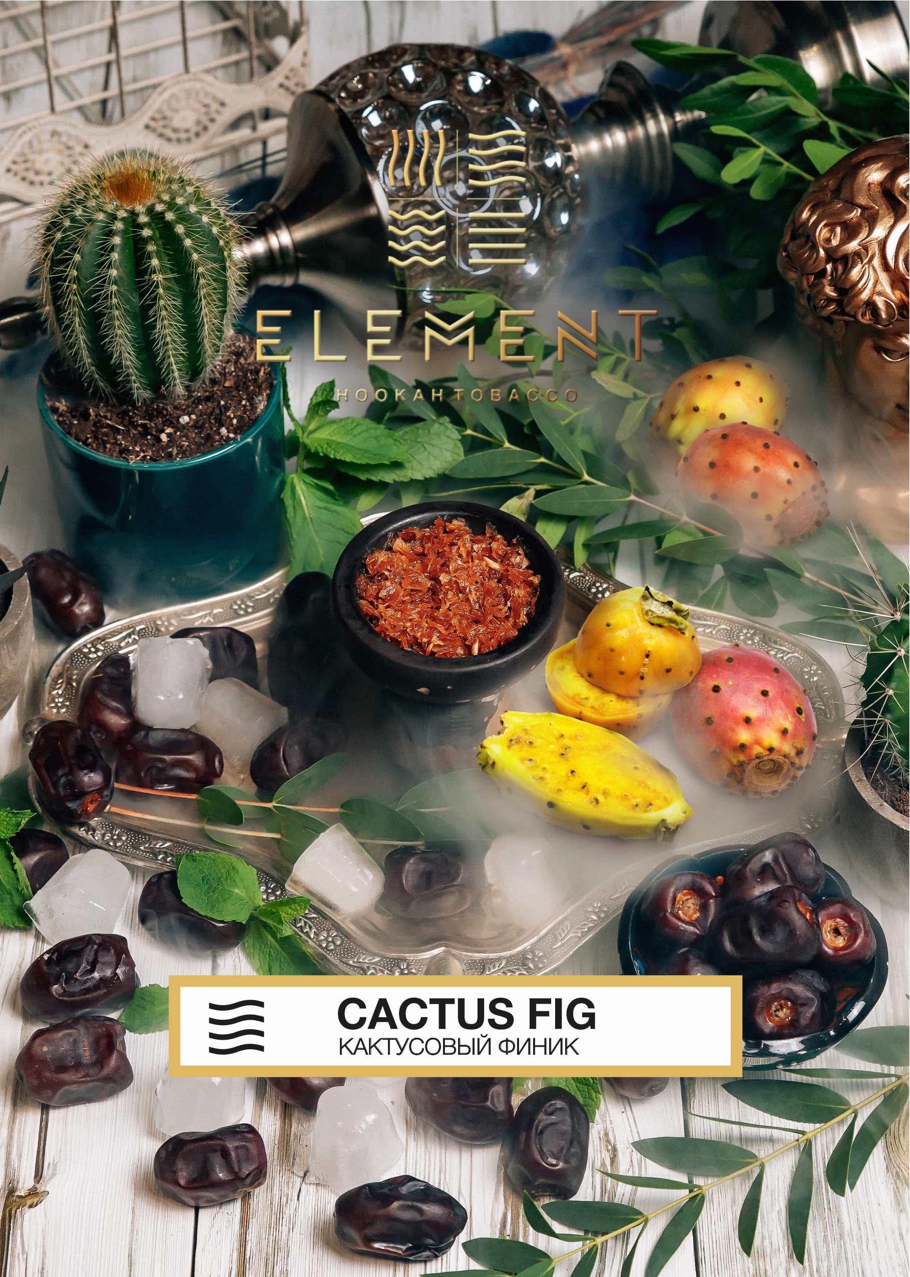 картинка Табак Element Воздух - Cactus Fig (Кактусовый финик) 200 гр. от магазина BigSmoke