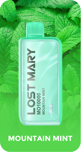 картинка Lost Mary MO10000 - Mountain Mint (Горная Мята) от магазина BigSmoke
