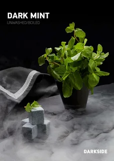 картинка Табак Darkside Core - Dark Mint 30 гр. от магазина BigSmoke