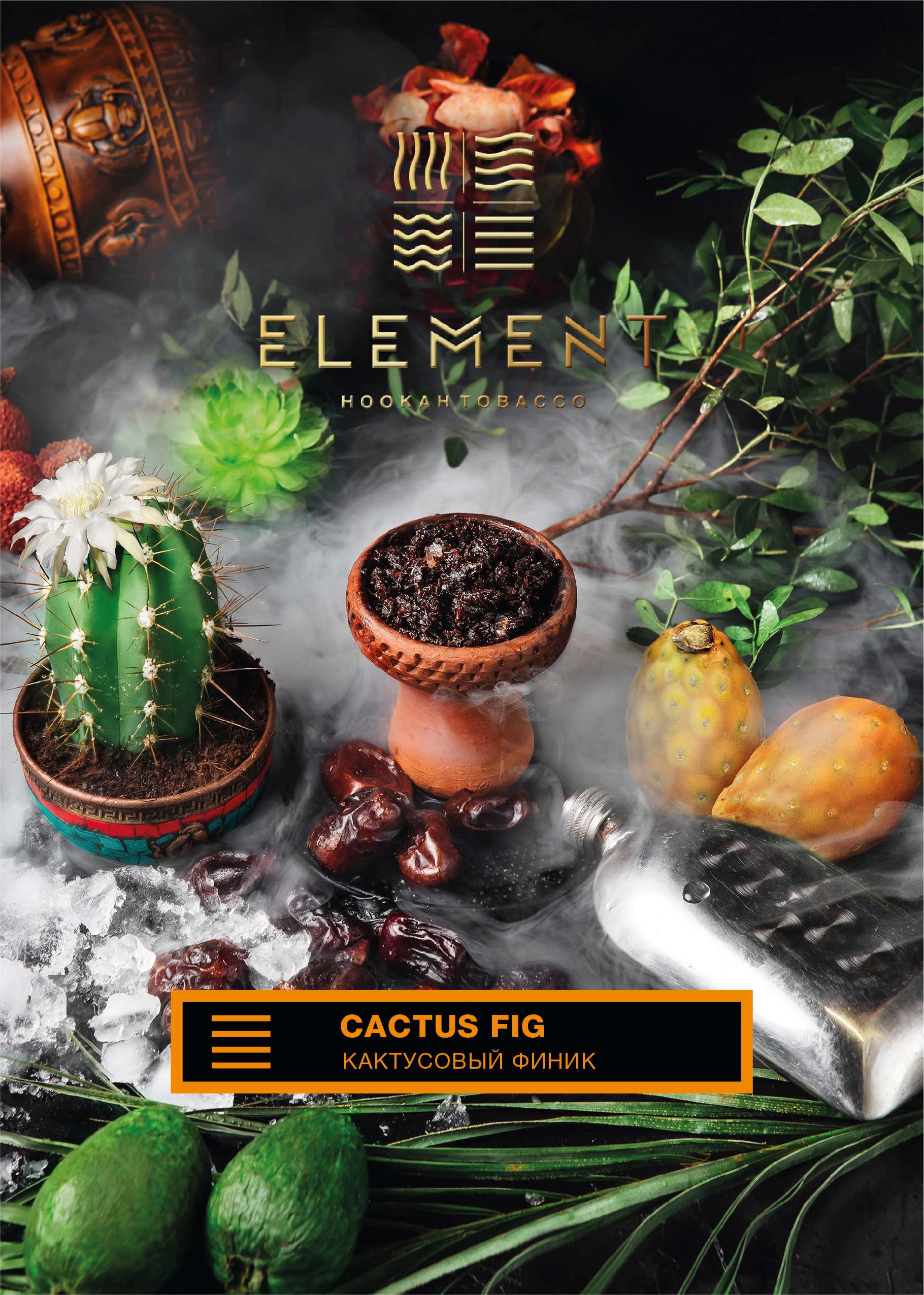картинка Табак Element Земля - Cactus Fig (Кактусовый финик) 200 гр. от магазина BigSmoke